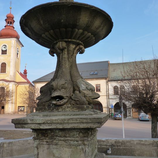 Rokytnice v Orlických horách