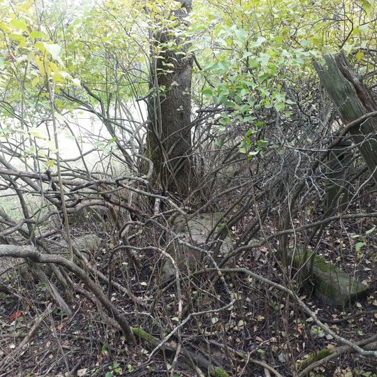 Kříž západně od Vidžína