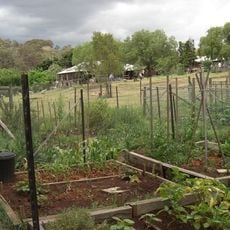 Collingwood Children's Farm