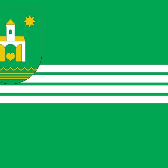 Rejon tałałajiwski