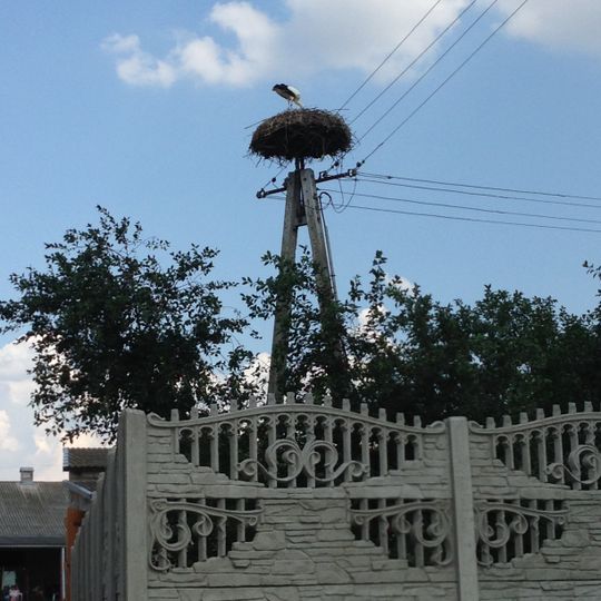 Brzozie, Brodnica County