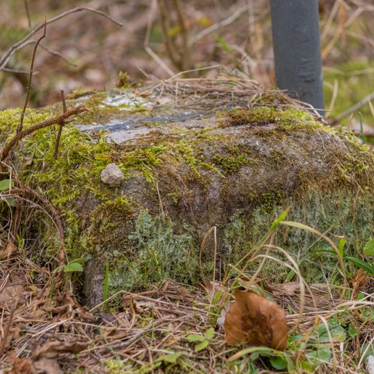 Grenzstein Untere Gemeinde, Hundertmorgen in Fürth