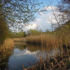 Rákosina ve Stříteži nad Bečvou