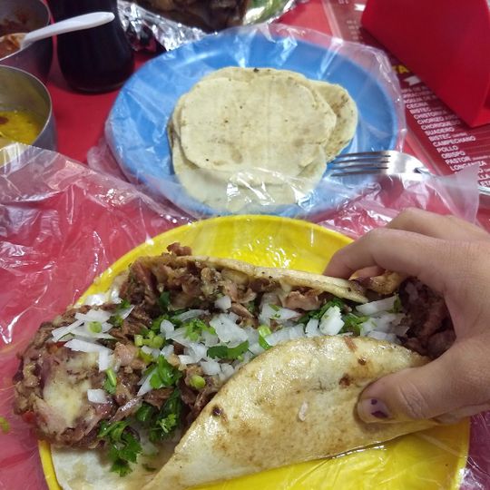 Los Tanates Taqueria