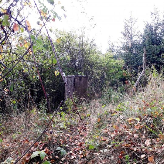 Kříž severně od Vidžína