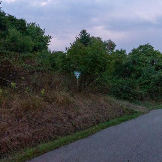 Alter Steinbruch mit Gehölzen u.Trockenrasen