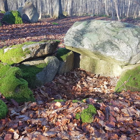 Skelde Kobbel dyssekammer