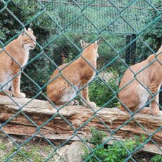 Munkholm Zoo