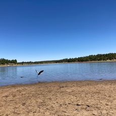 Fool Hollow Lake