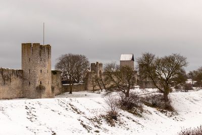 Зима 3