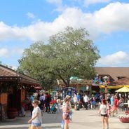 Florida'da aileyle: eğlence parkları, plajlar ve doğa koruma alanları