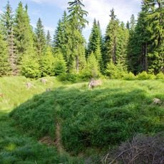 Tvrziště Kaiserruhe