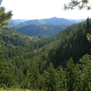 Cache La Poudre Wilderness