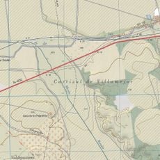 Carrizal de Villamejor