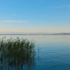Stations lacustres préhistoriques