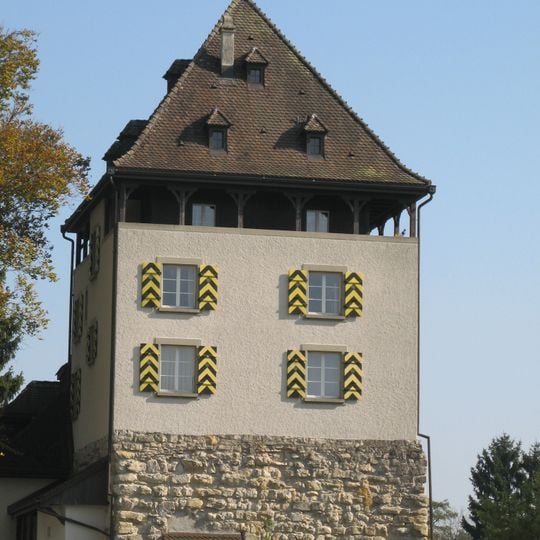 Auenstein Castle