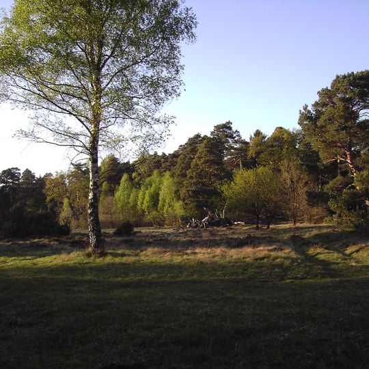 Nöttinger Viehweide und Badertaferl