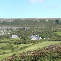 Clare