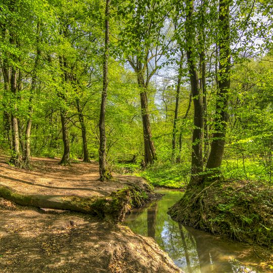 Rumbachtal, Gothenbach, Schlippenbach