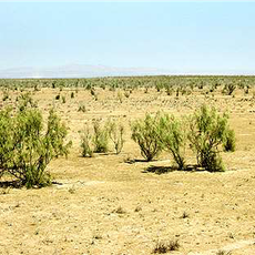 State wildlife sanctuary "Karnabchul"