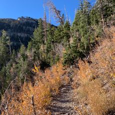 Spring Mountains National Recreation Area