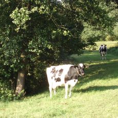 Batterij op de Schalmdijk