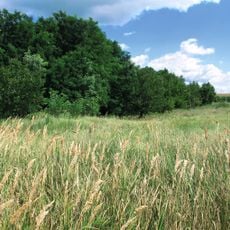 Urochysche Balka Durna Reserve