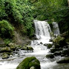 Parco nazionale di Juan Crisóstomo Falcón