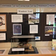 Northern Maine Museum of Science