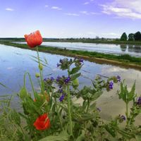 provincia di Vercelli