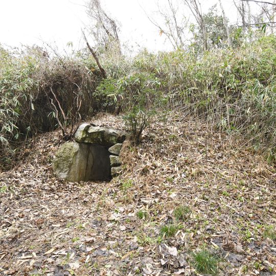 Koseyama Kofun Cluster
