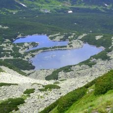 Dwoisty Staw Gąsienicowy