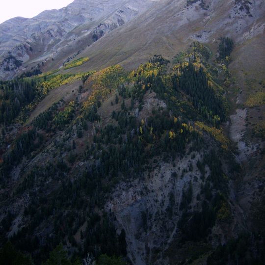 Mount Nebo Wilderness