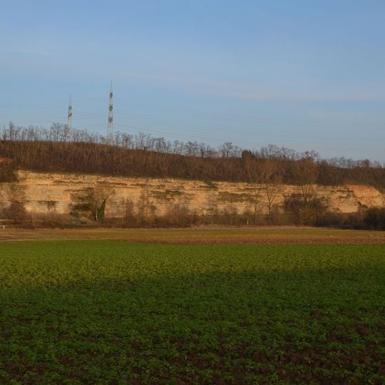 Prallhang des Neckars bei Lauffen