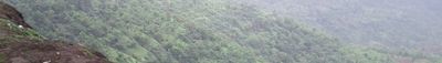 Panoramic View 0