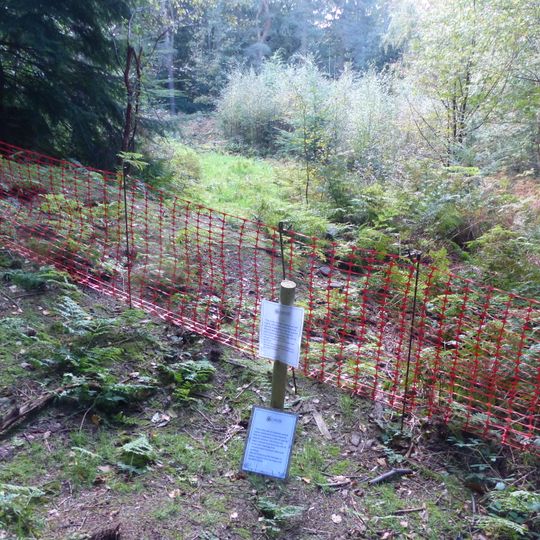 Roman period native settlement in Poolscar Wood, 350m south of Stubbings Farm