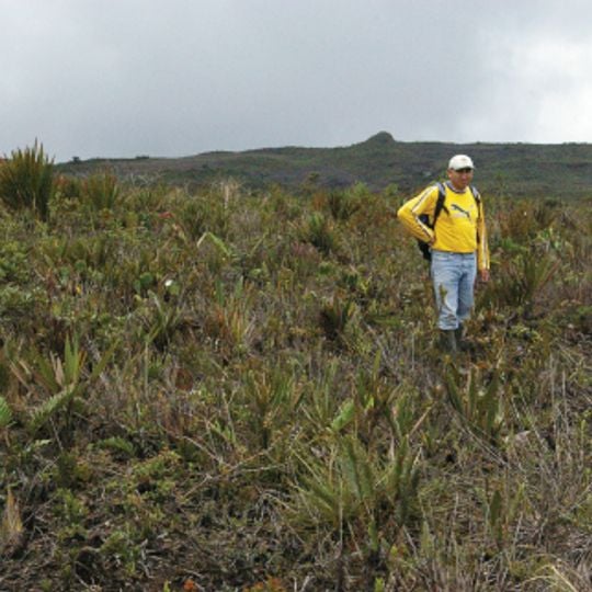Cordillera del Cóndor