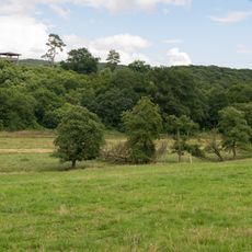 NSG Schwarzbachtal <HX>