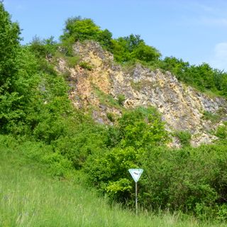 Steinbruch am Südhang des Helmberges bei Wiedenhof