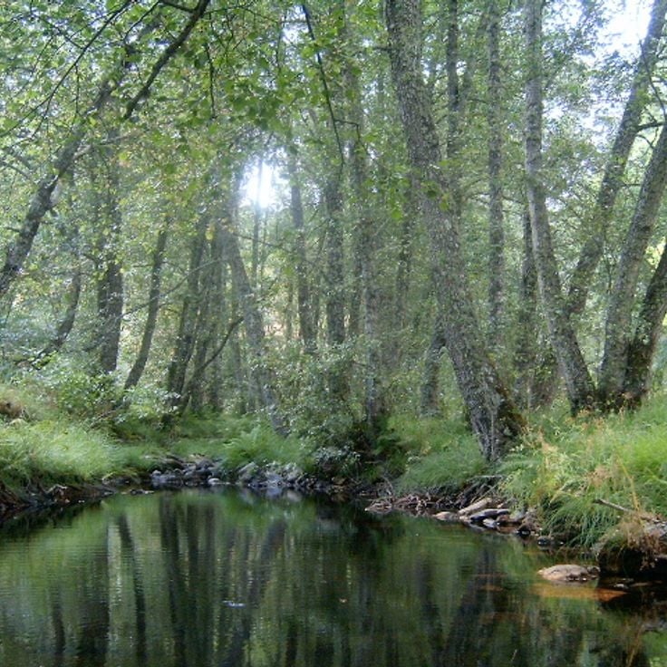 Montesinho Nature Park