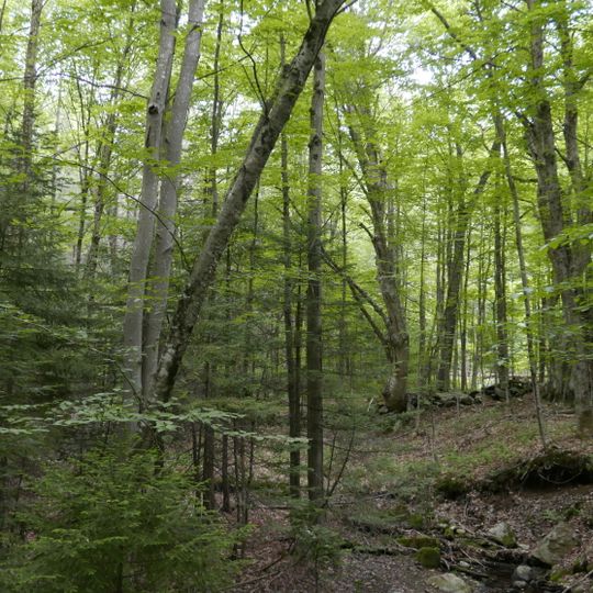 Molly Stark State Park