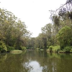 Parque nacional Lane Cove