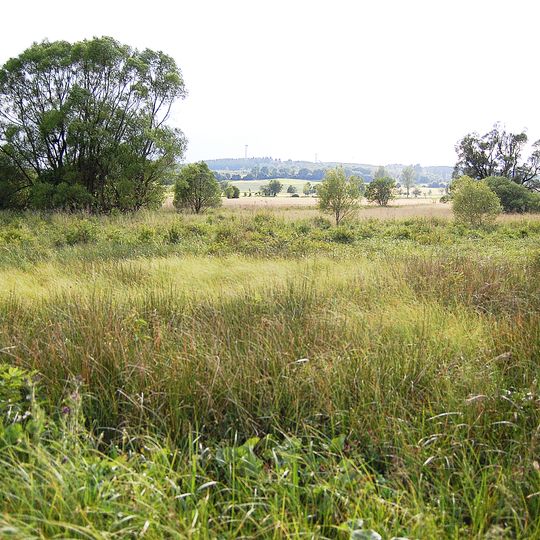 Naturschutzgebiet Duttelswiese bei Bermuthshain
