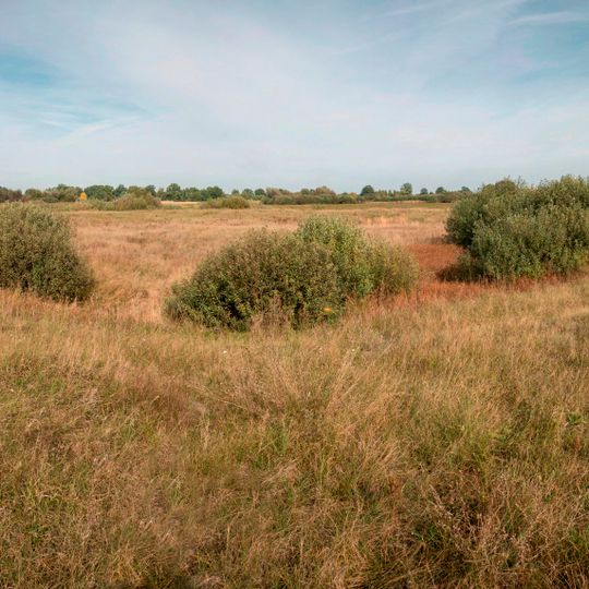 Hill fort in Zarichne