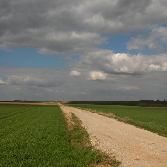 Artois
