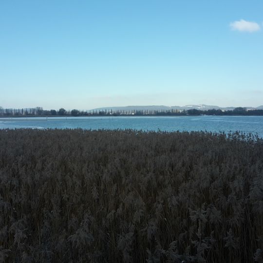 Radolfzeller Aachried