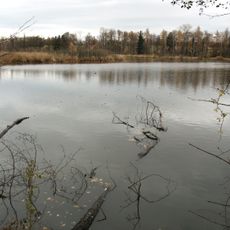 Nový rybník u Soběslavi