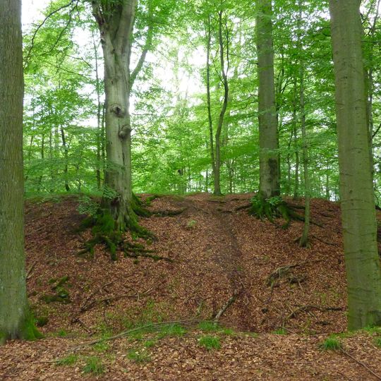 Stadtwüstung Blankenrode