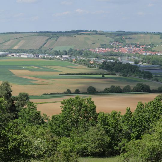 Trockentalhänge im südlichen Maindreieck