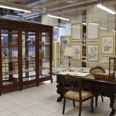 Museo anatomico "Leonetto Comparini"